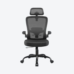 Ergonomic Office Chairs
